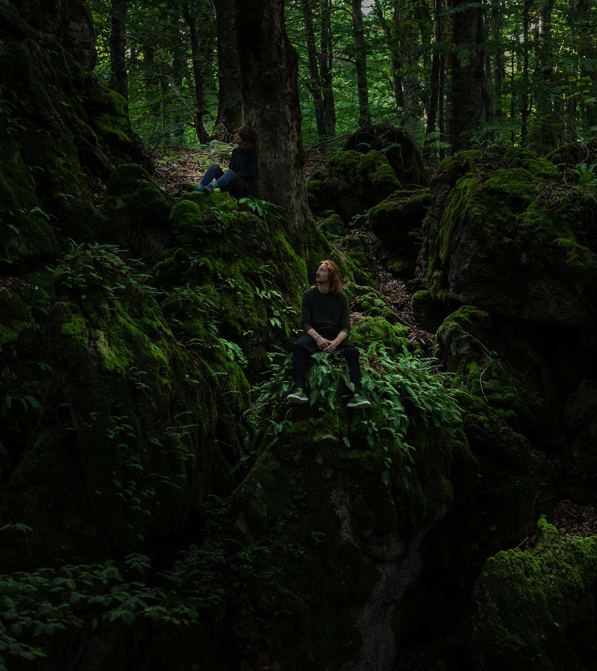 Forest Dark II