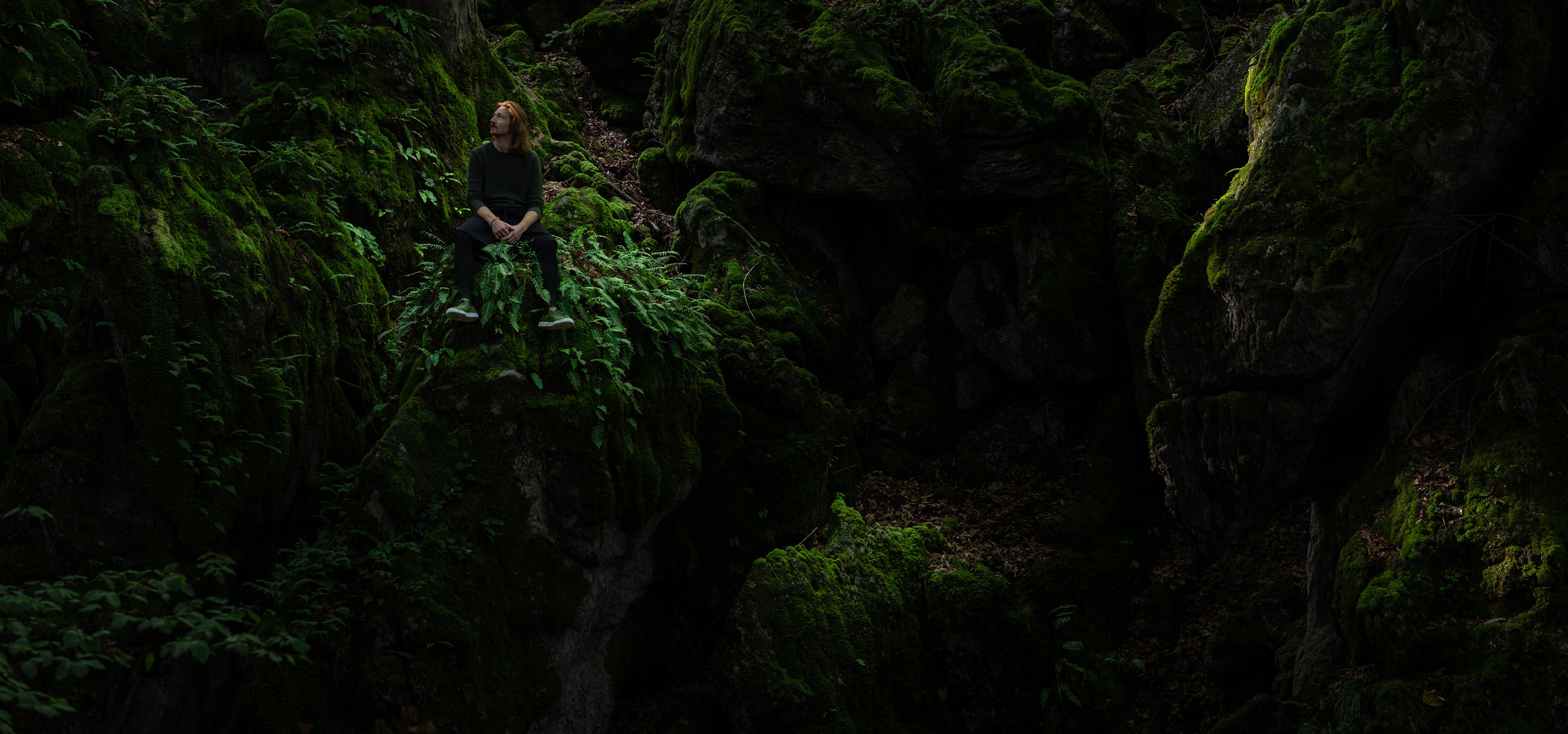 Forest Dark II