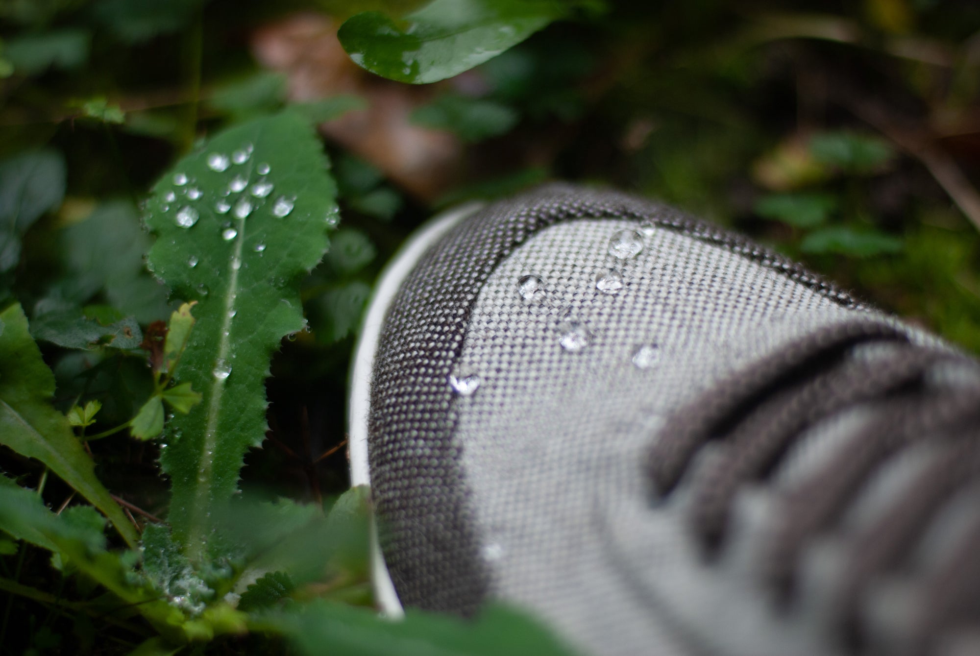 Low-top multicolored natural sneakers. Made from 100% thermoregulating and water-repellent wool with pure hemp lining, wool-covered cork insoles and super-flexible rubber outsoles. OEKO-TEX certified sneakers manufactured in the EU.